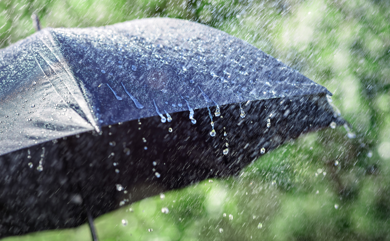 Car Essentials - Umbrella