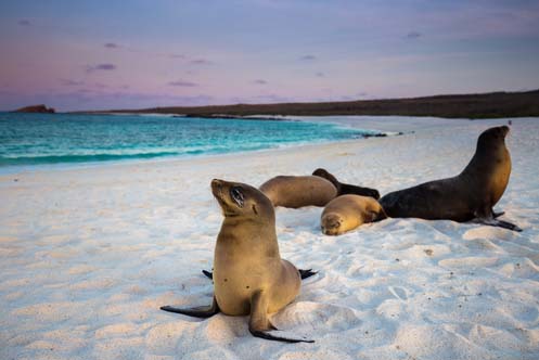 Galapagos Island