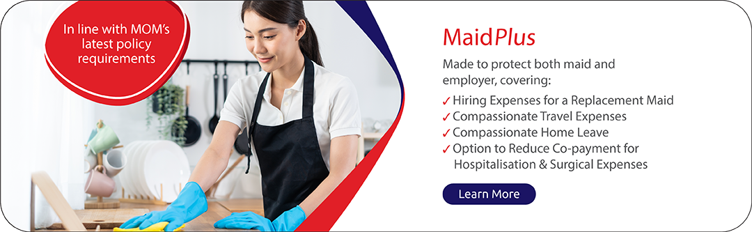 MSIG MaidPlus