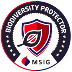 msig