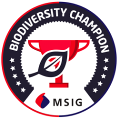 msig