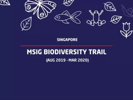msig_singapore_biodiversity_trail