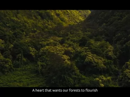 protecting_biodiversity_is_the_insurance_for_a_sustainable_future