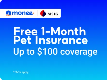 monee_page_banner_v1