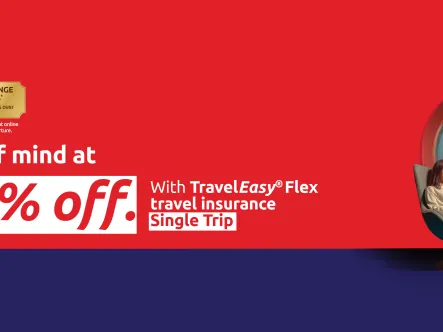 traveleasy_flex_-_single_1440x480.jpg