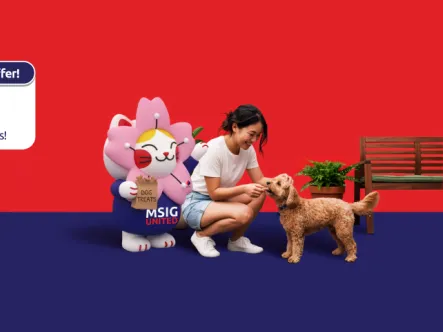 ao_paweasy_1440x480.png