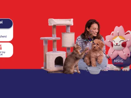 fs_paweasy_1440x480.png