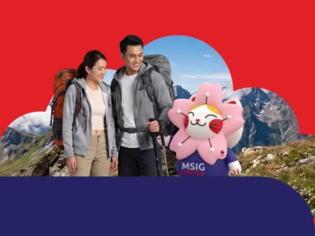 fs_traveleasy_flex_single_1440x480.png