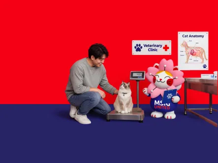 ao_nov_26_paweasy_cat_1440x480.jpg
