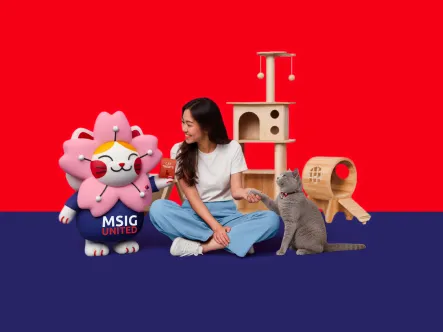 ao_paweasy_cat_1440x480.jpg