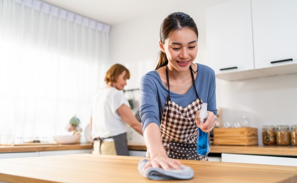 getting-maid-insurance