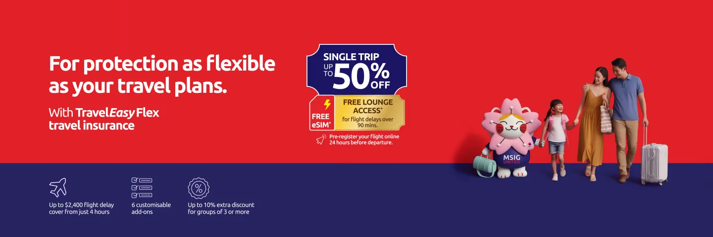 ao_travel_easy_flex_single_1440x480