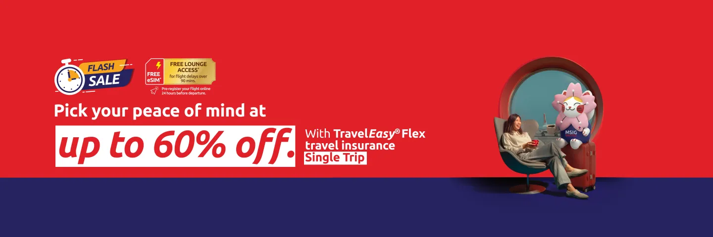 traveleasy_flex_-_single_1440x480