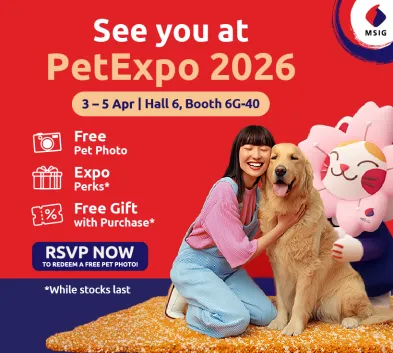 Pet Expo