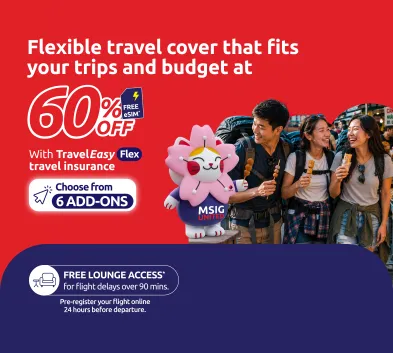 fs_traveleasy_flex_single_393x353