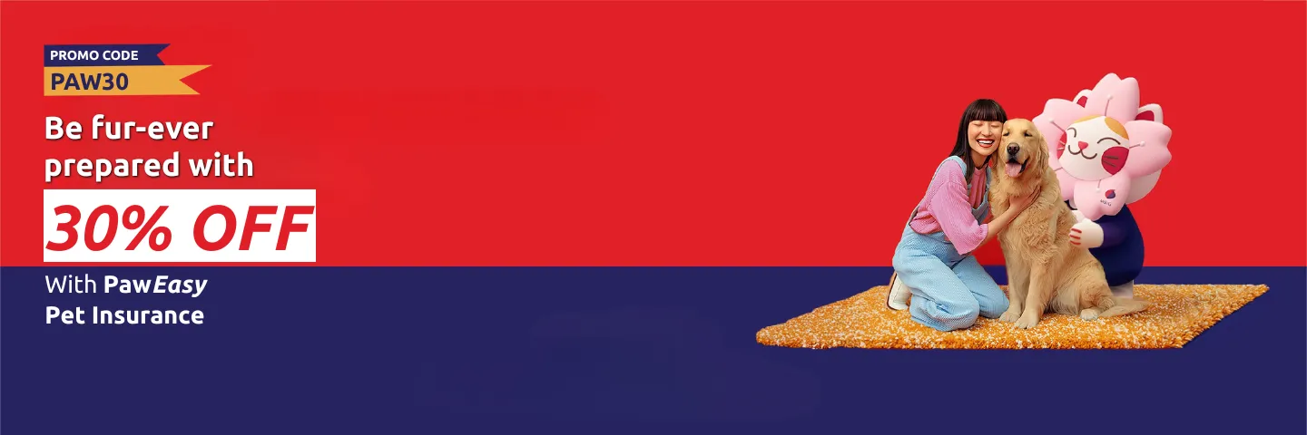 desktop-image
