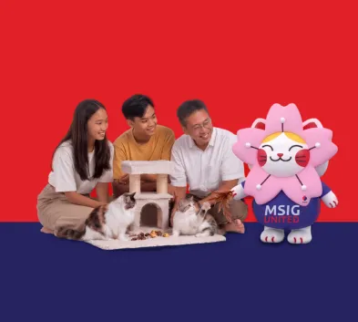 mobile-image